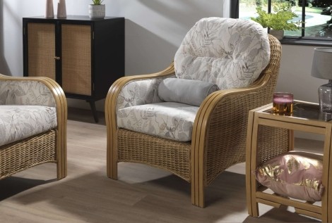 Desser, Centurion, Light Oak, Cane Arm Chair